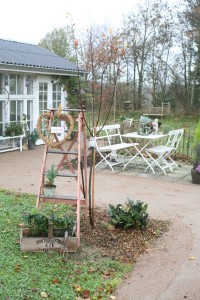 Ny havesti ved havehuset
