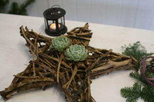 gren stjerne