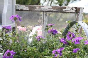 blomster