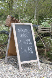 krydderurter