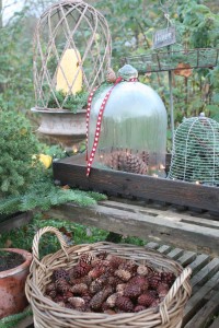 vinterhygge i haven