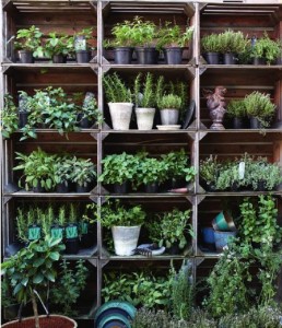 planter til terrassen