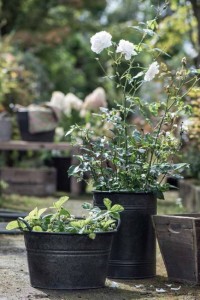 terrasse indretning