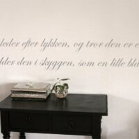 Man leder efter lykken Man leder efter lykken
