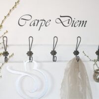 Carpe Diem