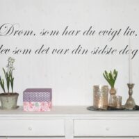 Drøm som har du evig liv