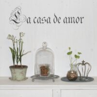 La casa de amor La casa de amor
