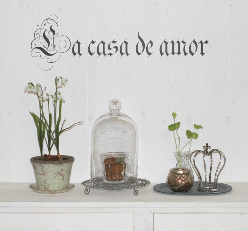 La casa de amor La casa de amor