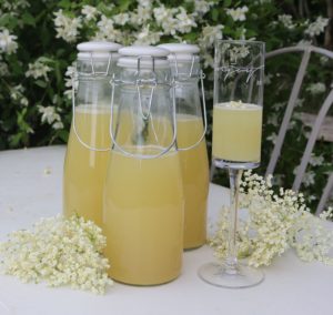 Lav din egen hyldeblomstchampagne - Opskrift