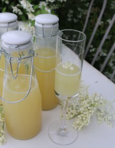 hyldeblomst champagne i champagneglas fra Riviera Maison