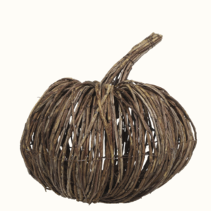 Græskar i natur, stor